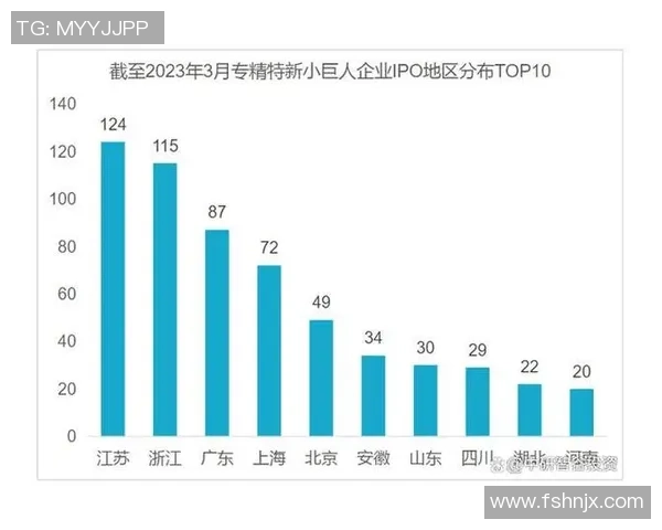 姚明2023年资产状况分析及其商业投资布局探讨