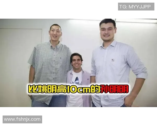 姚明在NBA的辉煌历程与王者风范解析
